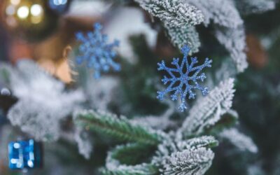 Navidad con adolescentes y jóvenes: tradiciones y actividades