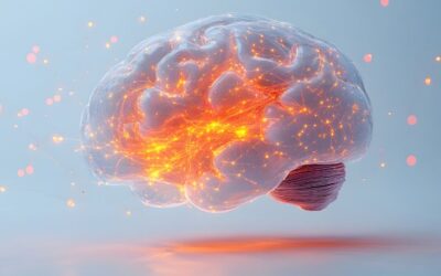 Neurociencia y aprendizaje de idiomas