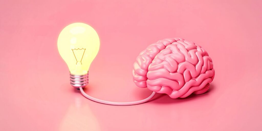 aprendizaje amigable para el cerebro DELE para escolares